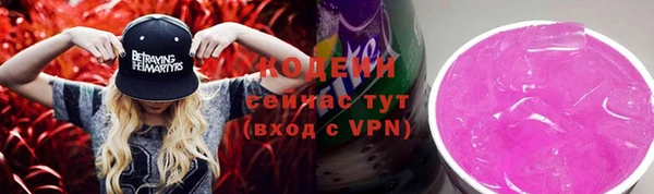 хмурый Абаза