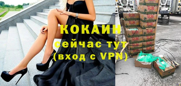 хмурый Абаза