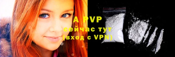 хмурый Абаза