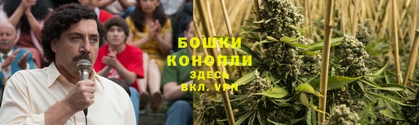 ПСИЛОЦИБИНОВЫЕ ГРИБЫ Абинск