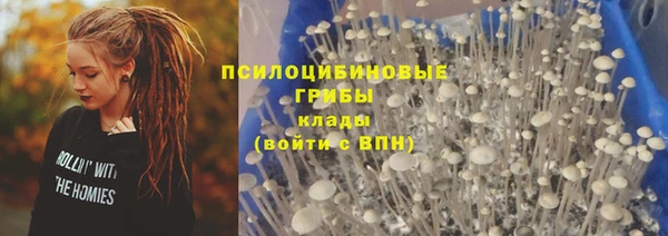хмурый Абаза