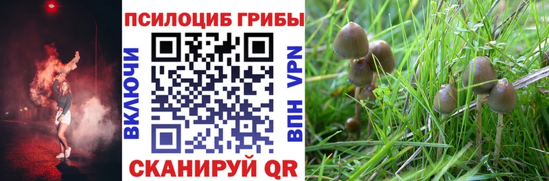 Псилоцибиновые грибы мицелий  Нолинск 