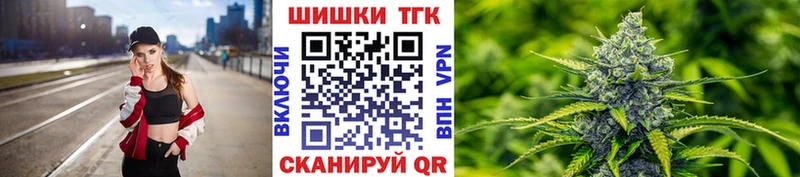 Шишки марихуана марихуана  где купить   Нолинск 